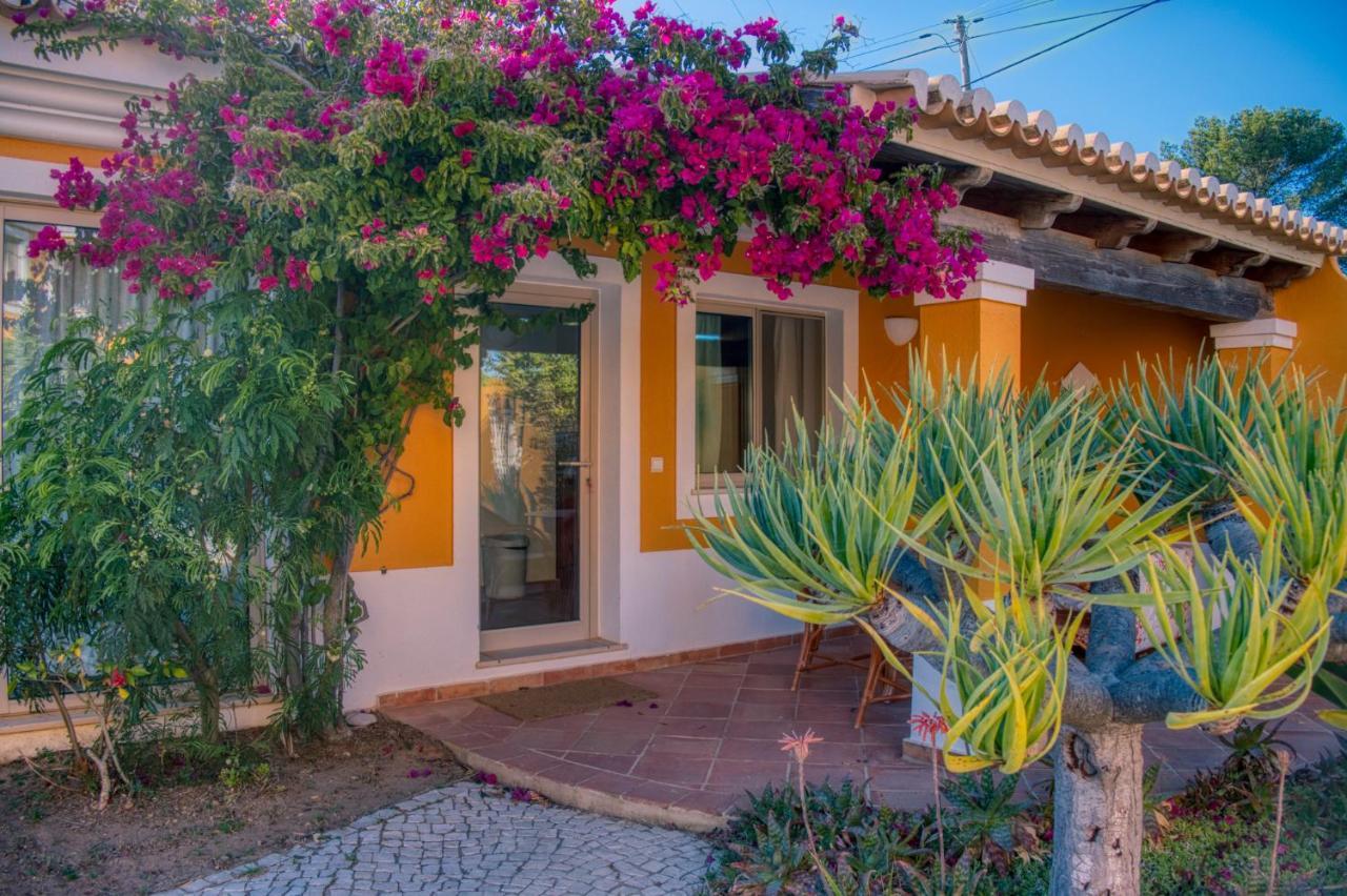 Moonshine Guest House With Private Studios And Private Cottage Lagos Bagian luar foto